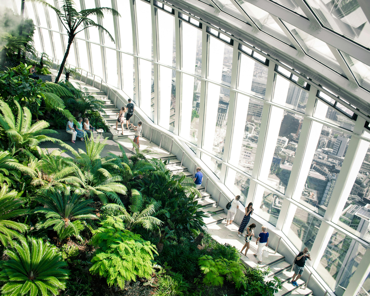 The Sky Garden Pack-4x Premium Wallpaper
